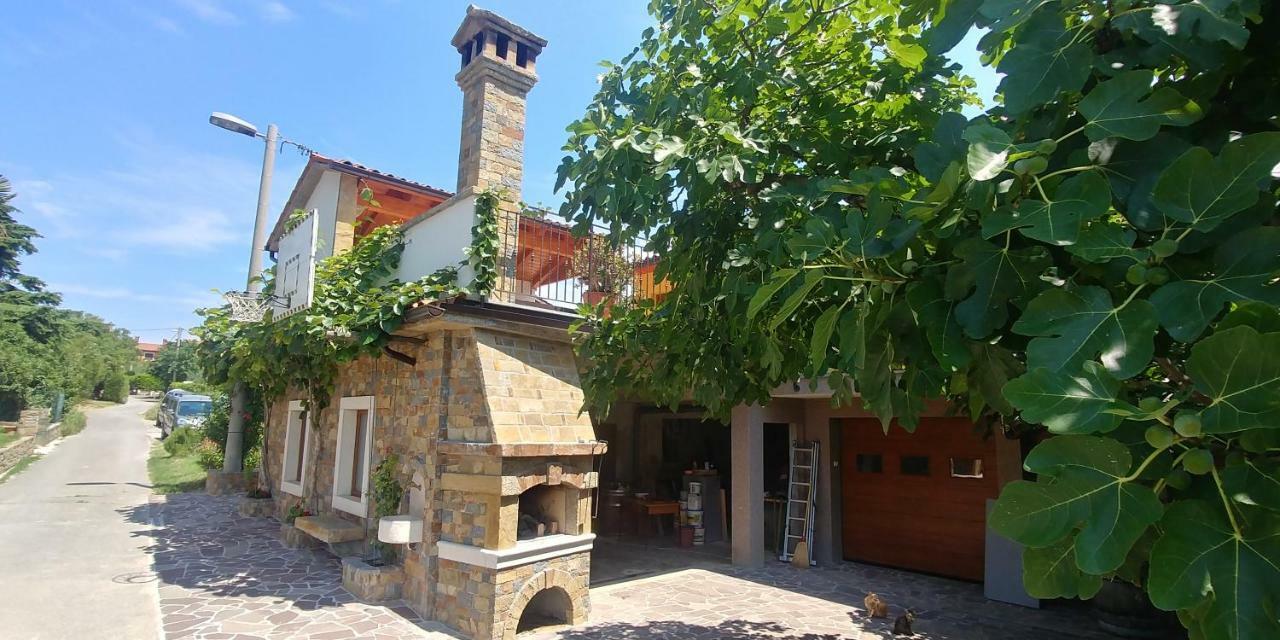 Kmetija Jogan, Wines & Apartments Pobegi Extérieur photo